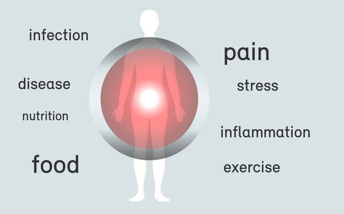 Silent inflammation - Vortragsabend am 17. Oktober 2019 um 18:30h