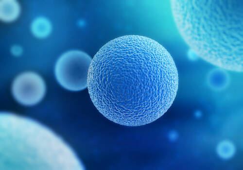 Stem Cell Therapy 