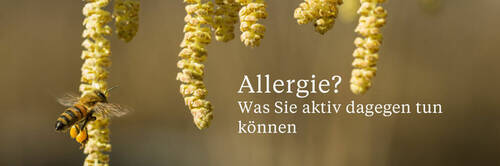 ​Die Allergievorsorge beginnt jetzt!